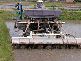 plow