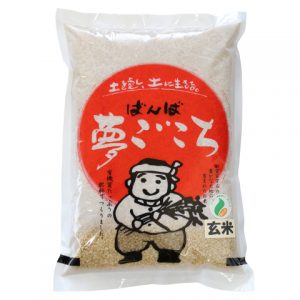 春眠暁を覚えず夢ごこち ご飯を食べても夢ごこち その名も 夢ごこち 日本のお米の総生産量の中 わずか0 0369 しか作られていない超希少なお米 ばんばのブログ