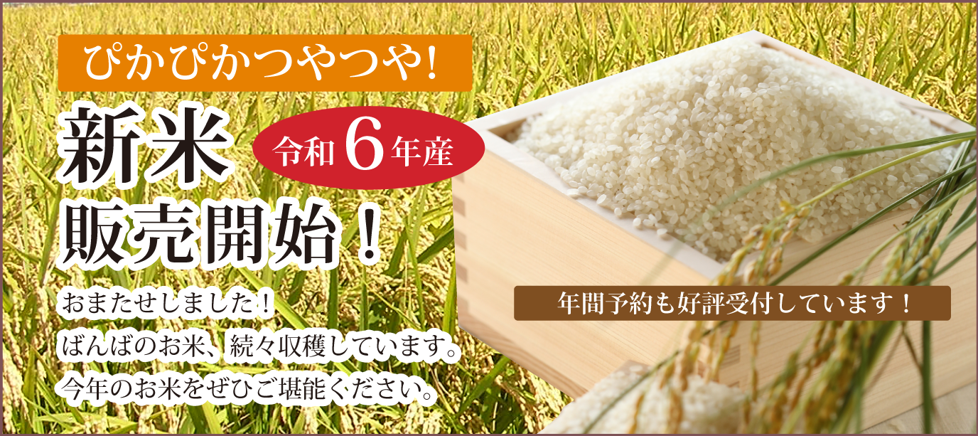 令和6年産新米