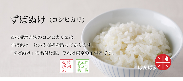 コシヒカリ（特別栽培米）　エコ農産物で人気抜群のお米です：ずばぬけ　玄米30kg