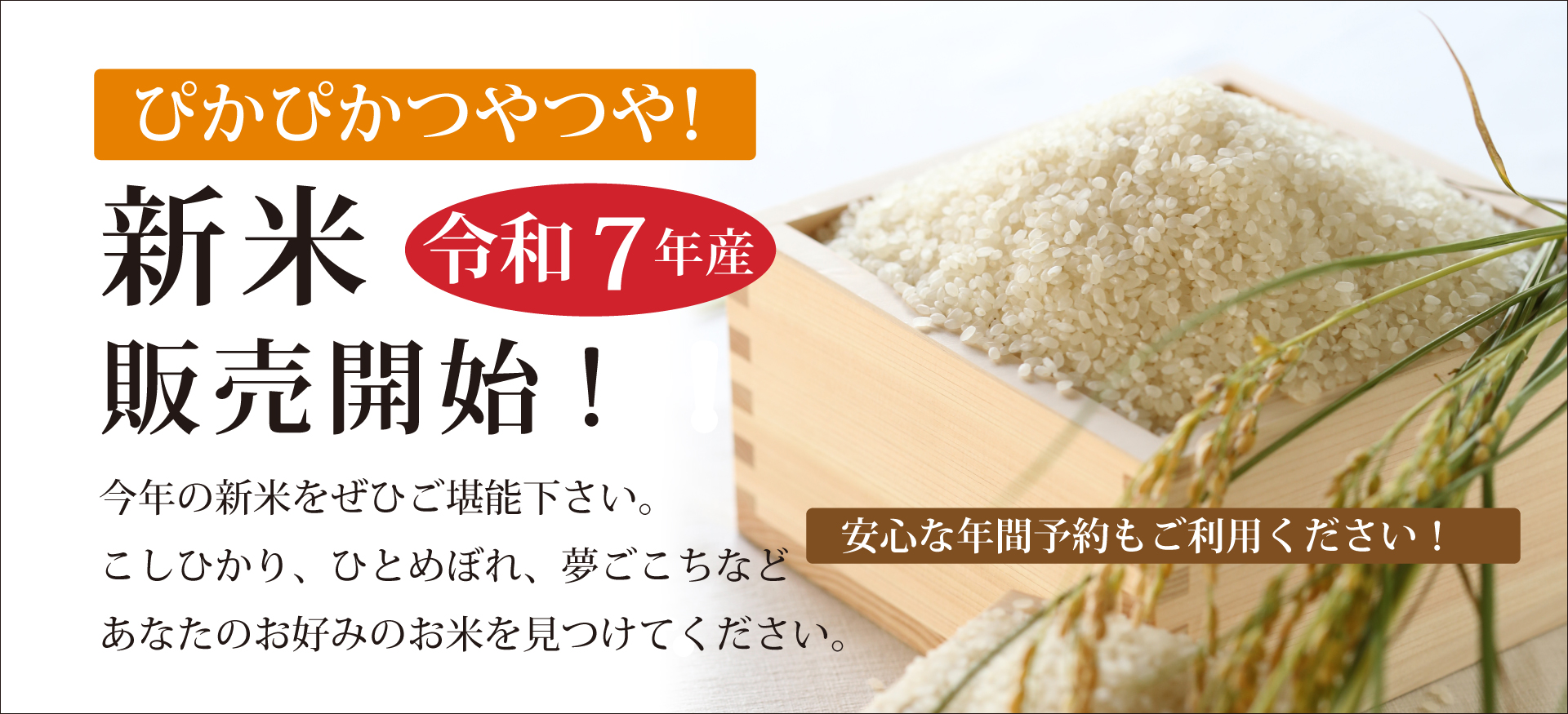 令和７年産お米