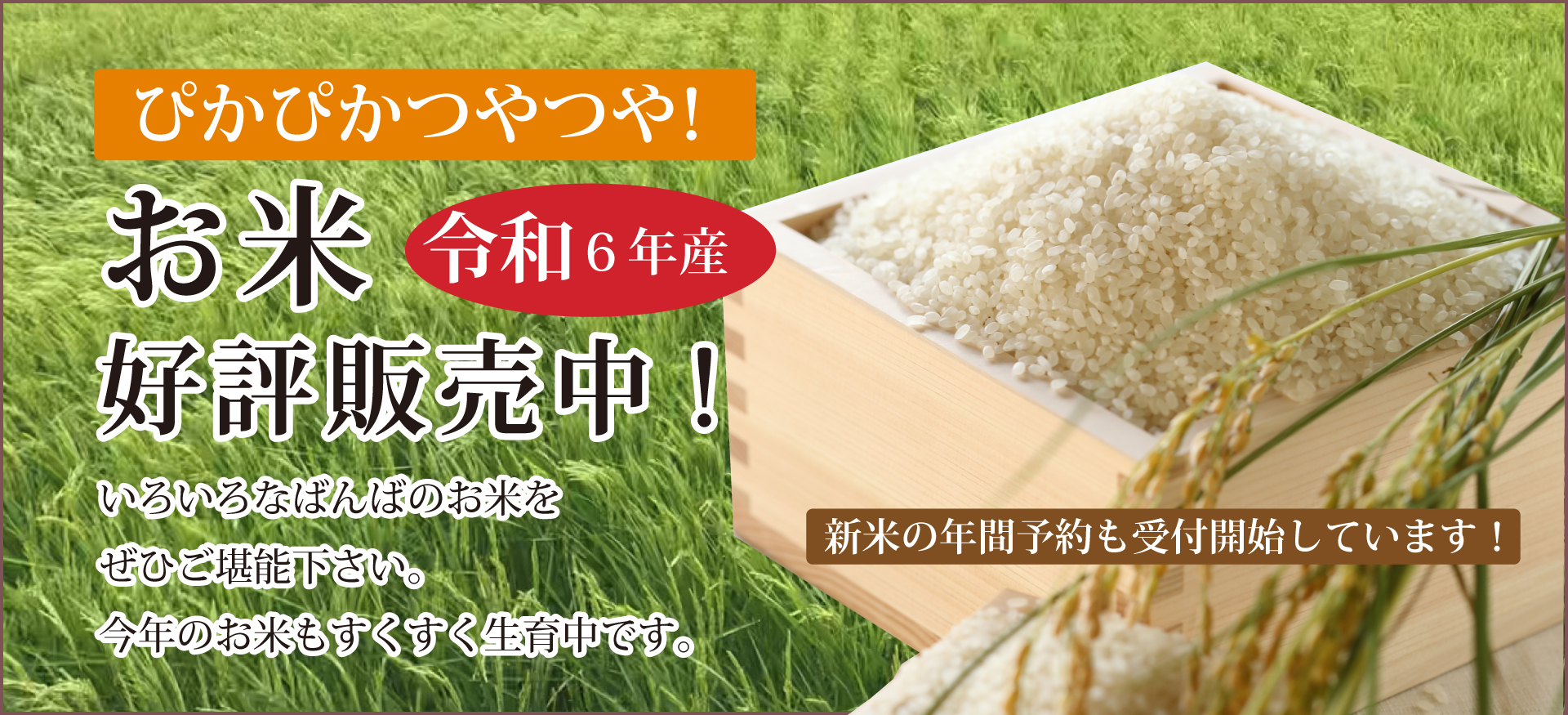令和6年産お米